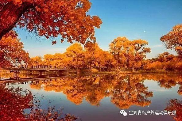 逃离鱼店